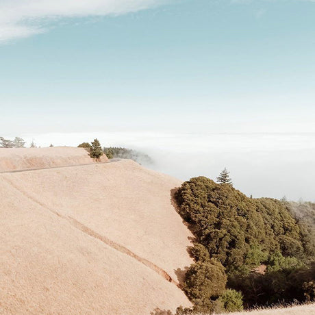 Visit Downtown Mill Valley Travel Guide