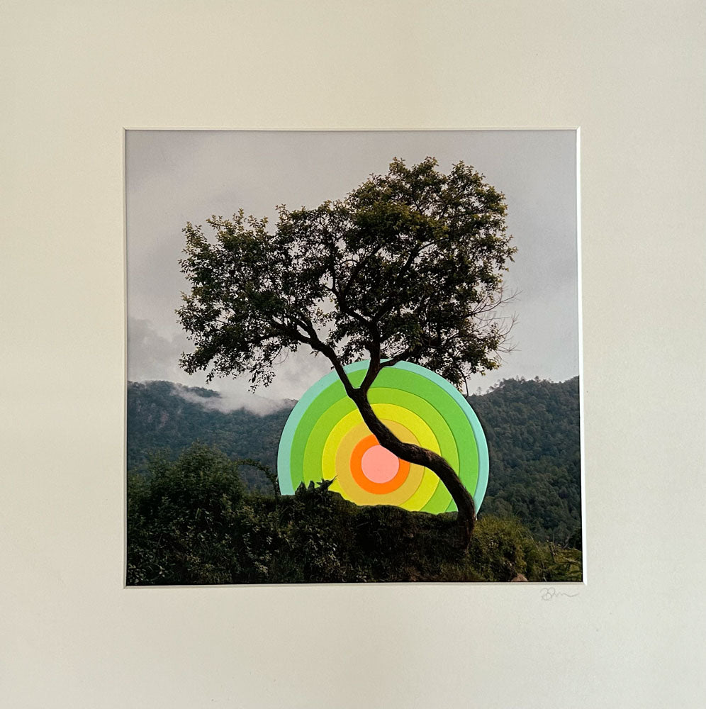 From the series, Landscapes and Circles. Wishing Tree. There is a surprise in how artist Rosemary Carmen Smith balances realism with the unreal. 