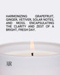 Air Candle by Free Yourself with harmonizing grapefruit, ginger, vetiver, solar notes and moss.