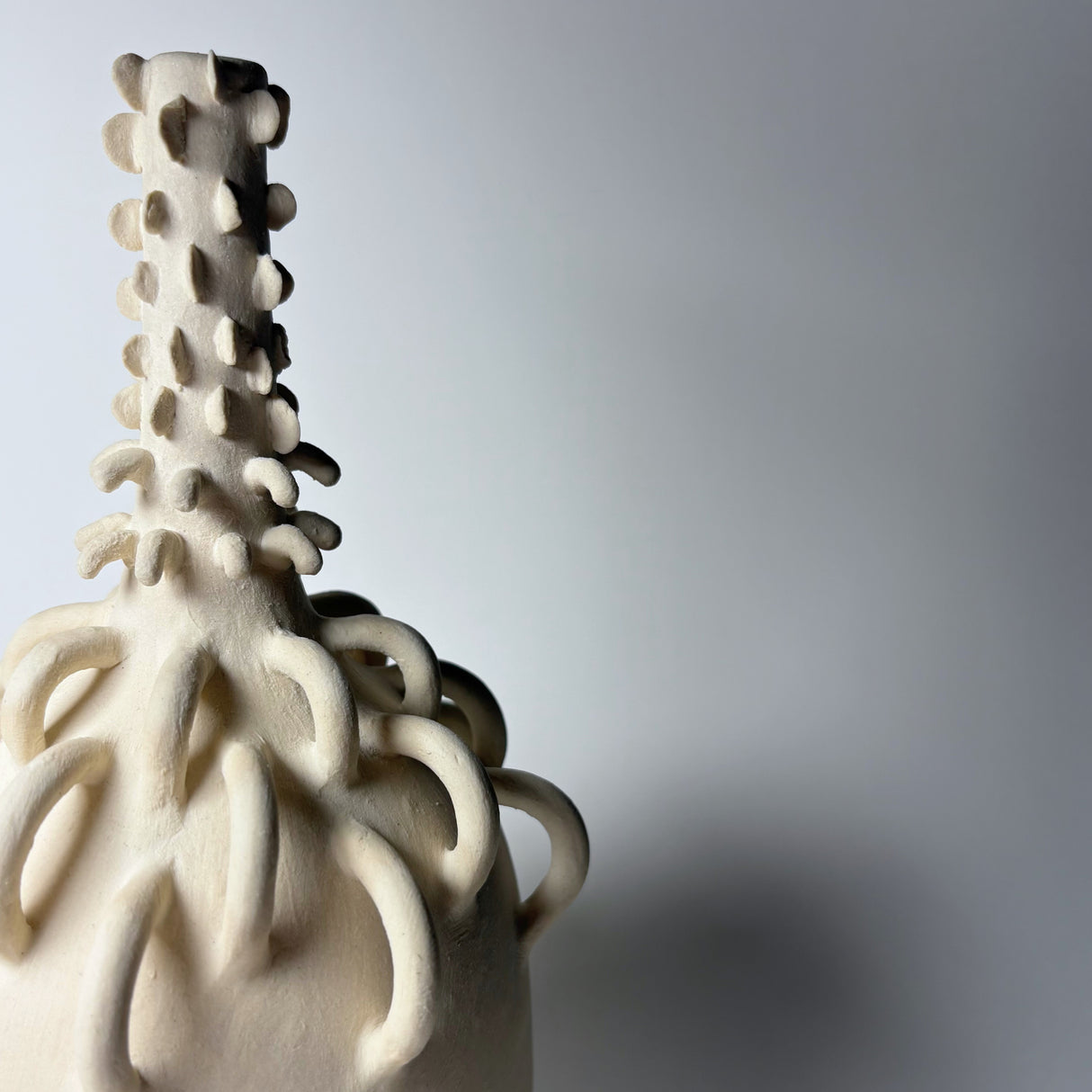 Avigail Remak ceramic vase inspired by the textures of desert plants