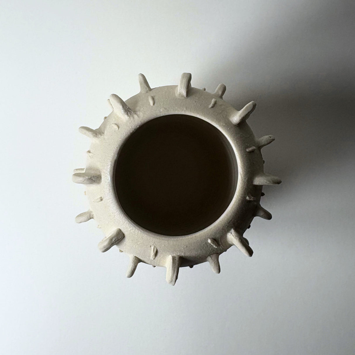 Avigail Remak / Ceramics / Vase / Cacti