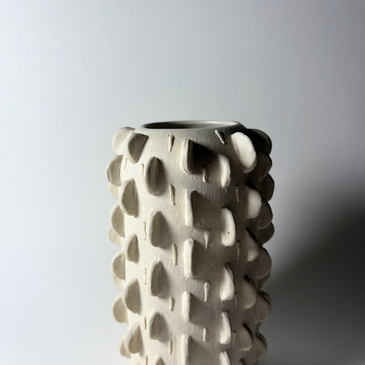 Avigail Remak / Ceramics / Vase / Cacti