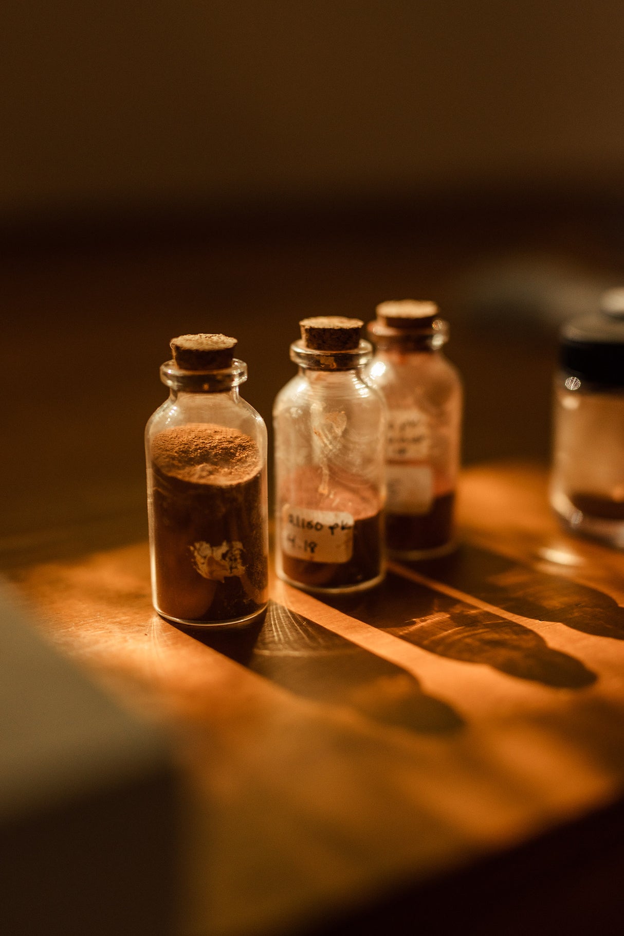 Workshop: Derivatives of Nature / September 21