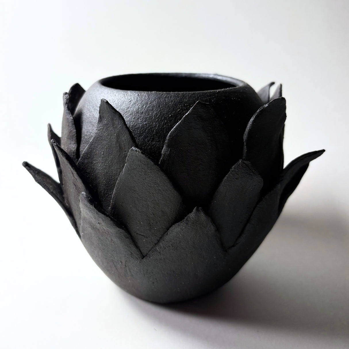 Avigail Remak / Ceramics / Vase / Flowering