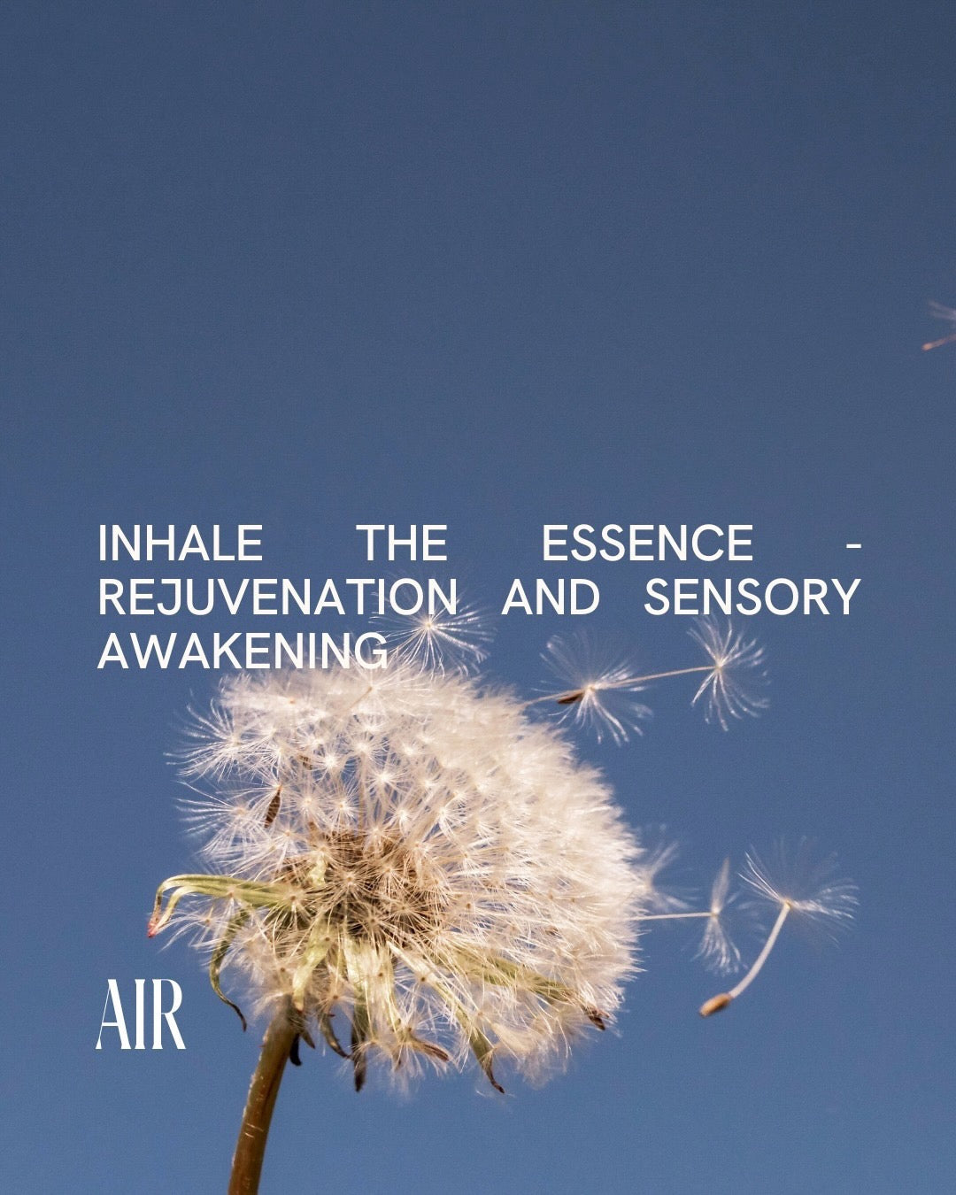 Free Yourself Air Perfume. Inhale the essence of rejuvenation and sensory awakening