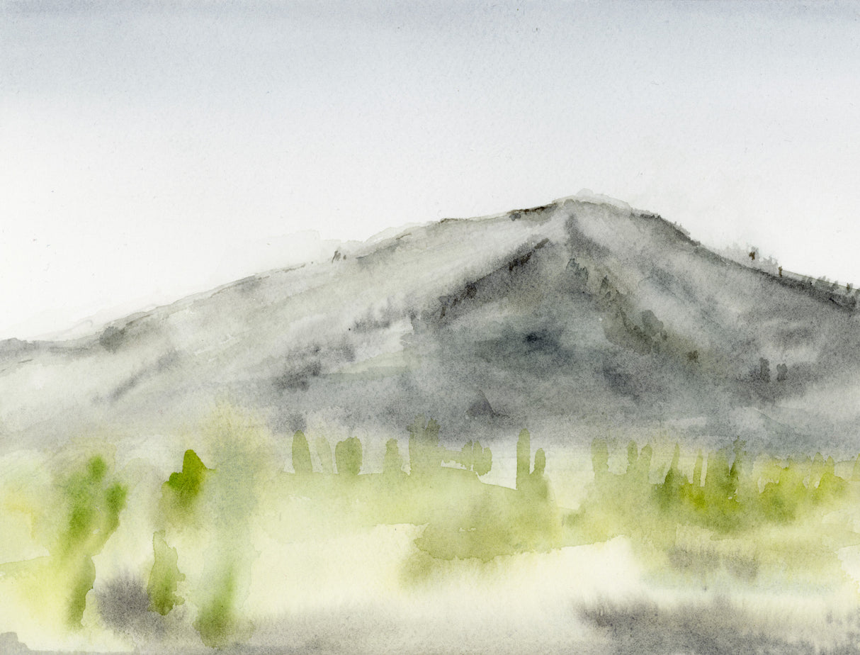 Ilysa Leder / Fine Art / Watercolor / Delusions of Grandeur Series x9 Unframed