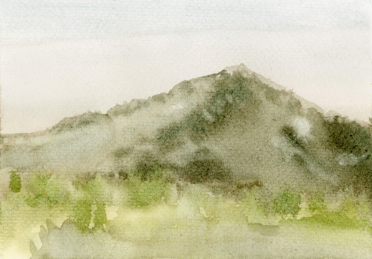 Ilysa Leder / Fine Art / Watercolor / Delusions of Grandeur Series x9 Unframed