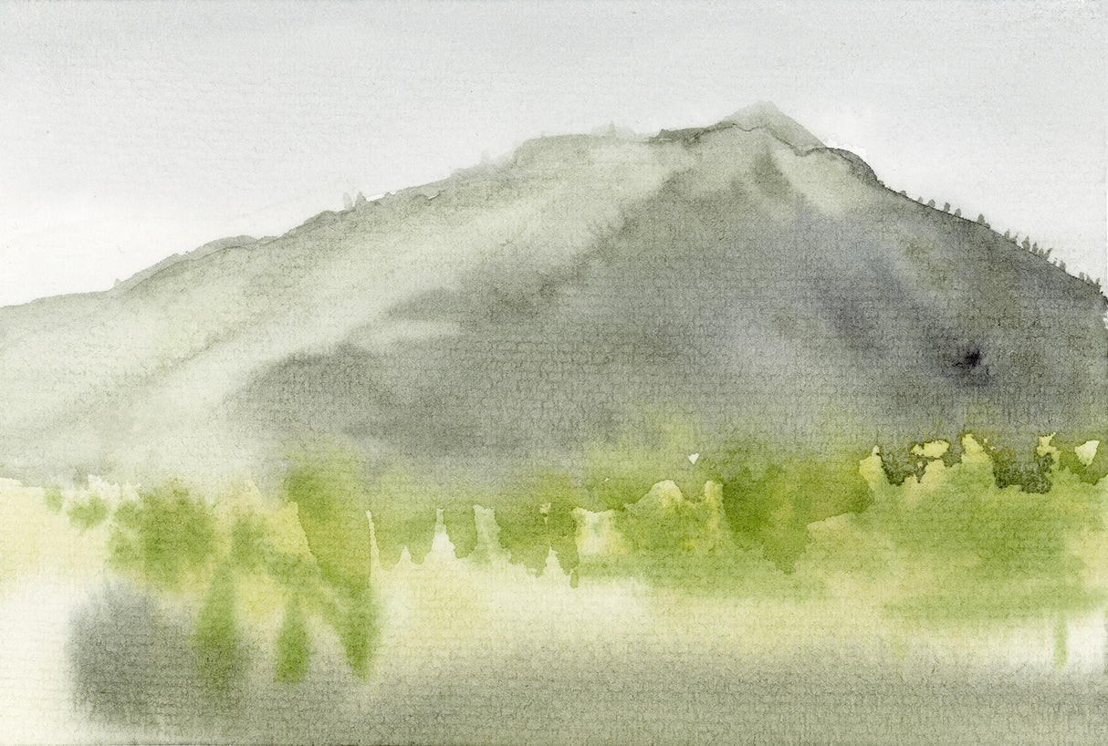 In February #1 Ilysa Leder captures the fleeting moments that occur within time and topography in an exploration of the magic of Mt Tamalpais in Marin County, Northern CA