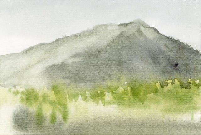 In February #1 Ilysa Leder captures the fleeting moments that occur within time and topography in an exploration of the magic of Mt Tamalpais in Marin County, Northern CA