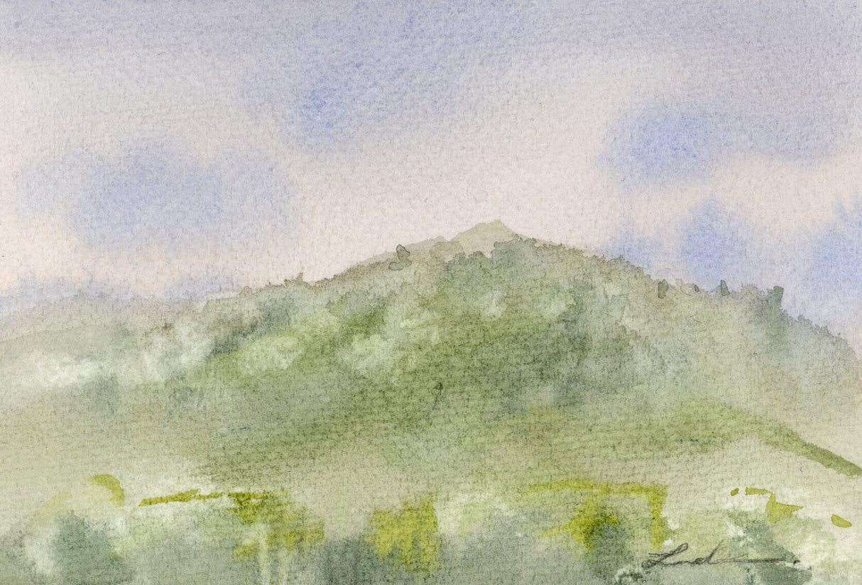 Ilysa Leder / Fine Art / Watercolor / Delusions of Grandeur Series x9 Unframed