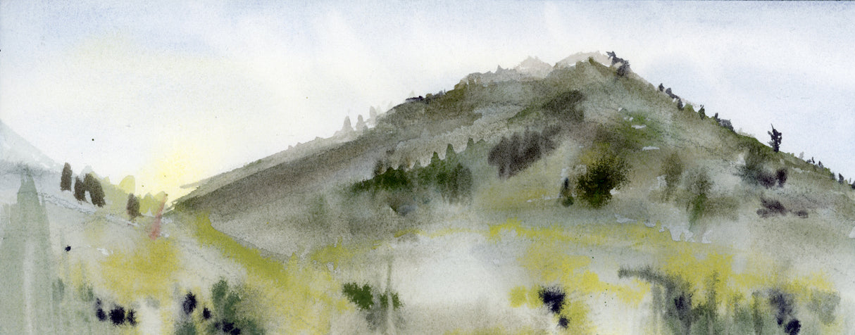 Mount Tamalpais, Winter Light, Fading Fast #3 is part of the Delusions of Grandeur series, Ilysa Leder's exploration of the magic that is Marin County, Northern California.