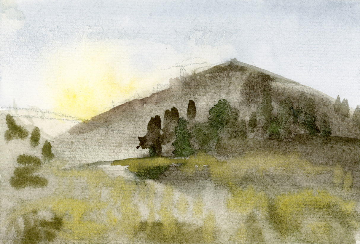 Ilysa Leder / Fine Art / Watercolor / Delusions of Grandeur Series x9 Unframed