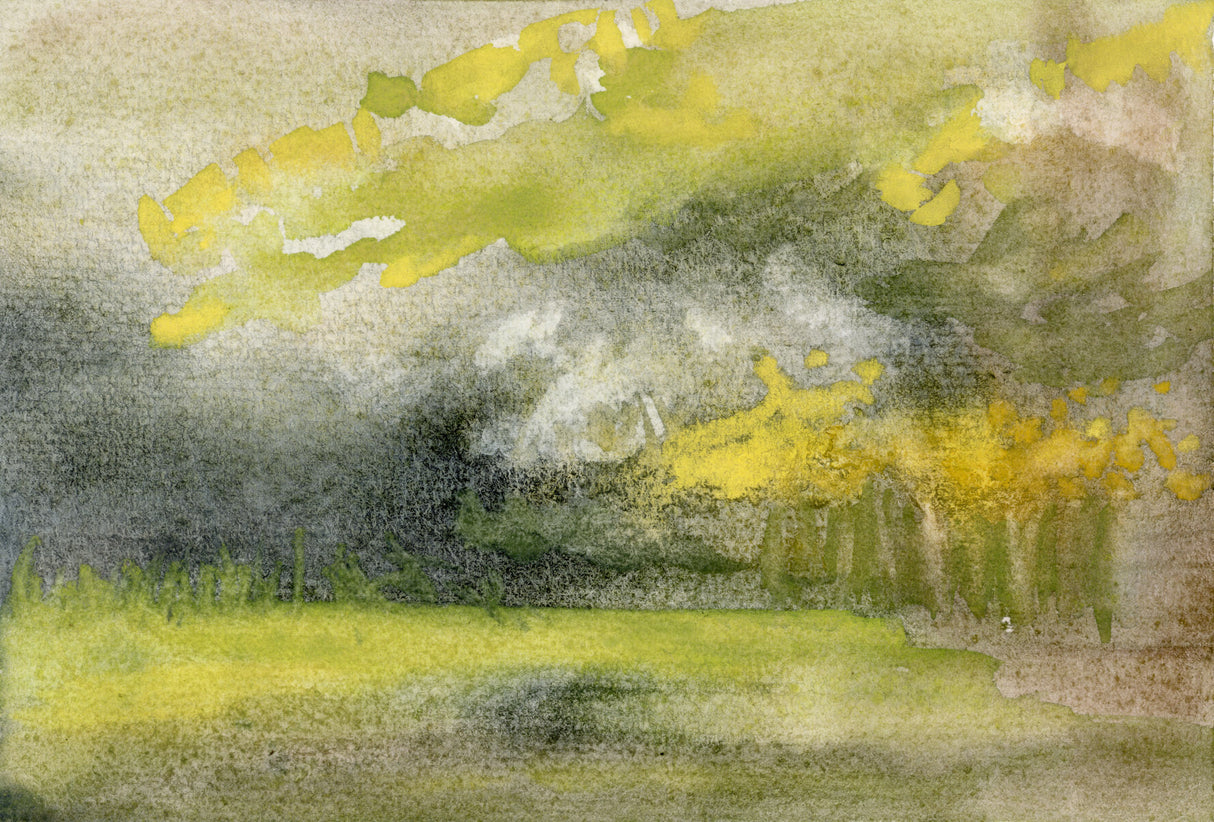 Ilysa Leder / Fine Art / Watercolor / Delusions of Grandeur Series x9 Unframed