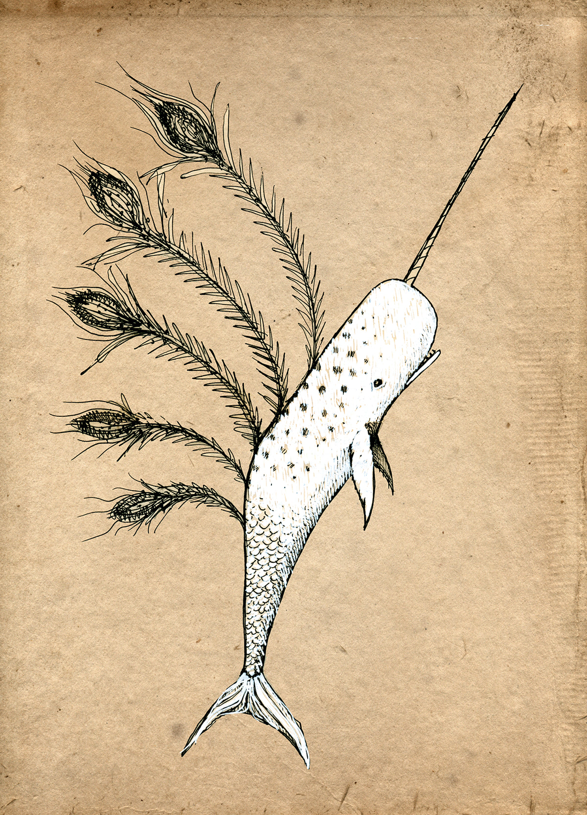 Jon Carling / Paper / Greeting Cards / The Last Narwal