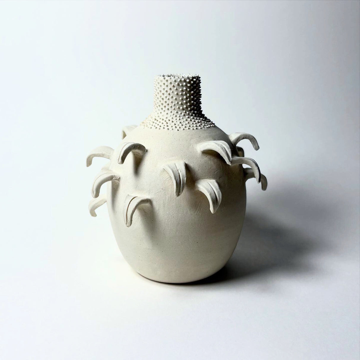 Avigail Remak / Ceramics / Vase / Leaf