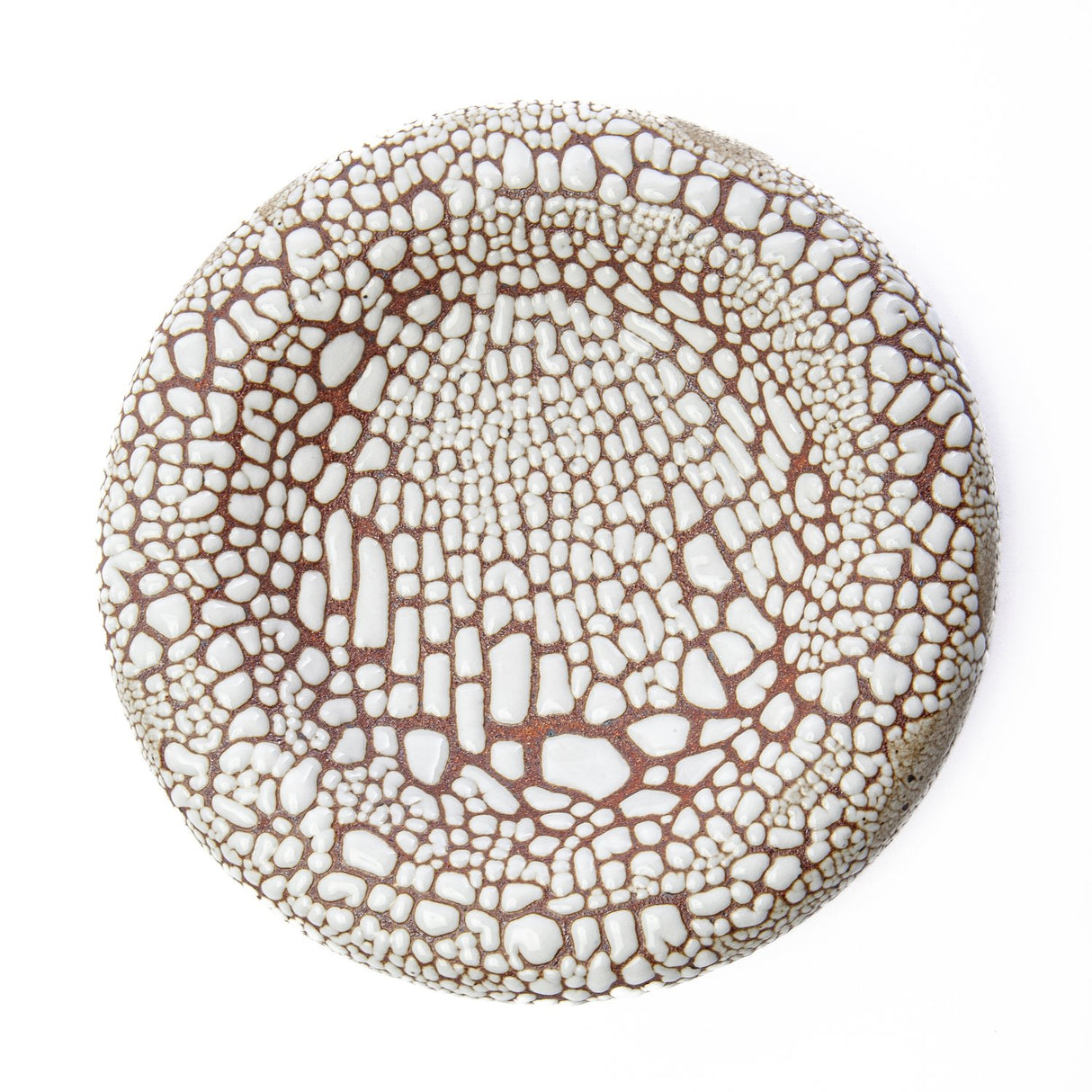 MH Ceramics / Ceramics / Bowl / Torus