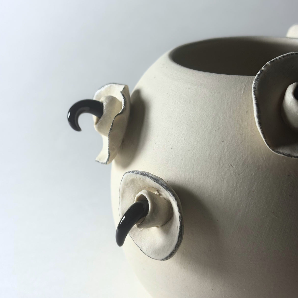 Avigail Remak / Ceramics / Vase / Petals and Claws