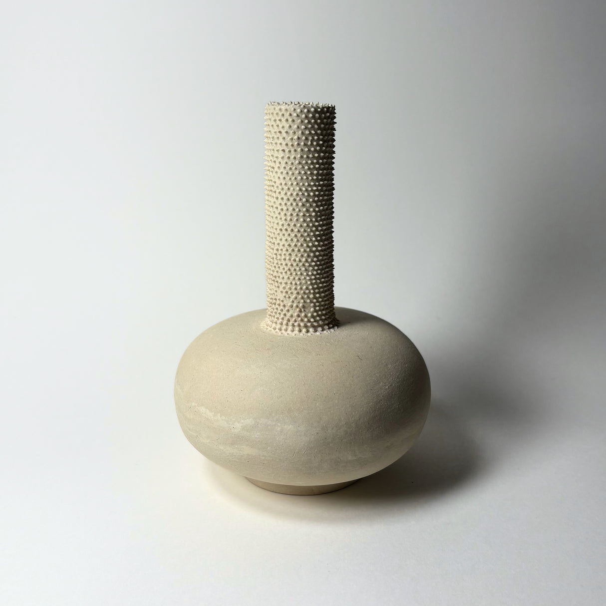 Avigail Remak / Ceramics / Vase / Prickly Stone