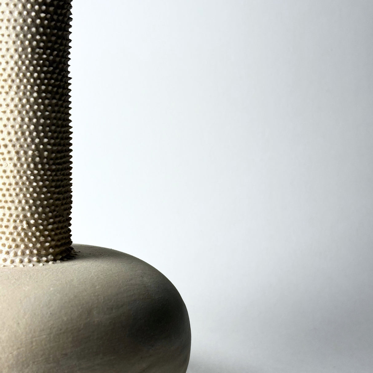 Avigail Remak / Ceramics / Vase / Prickly Stone