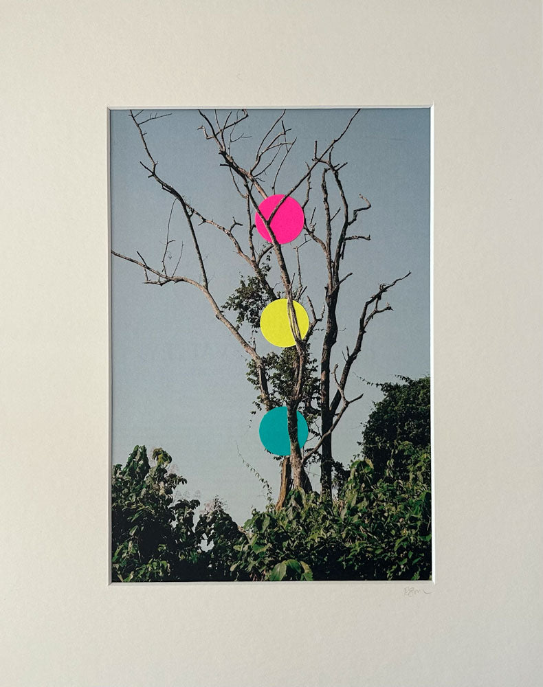 From the series, Landscapes and Circles. Signals. There is a surprise in how artist Rosemary Carmen Smith balances realism with the unreal. 