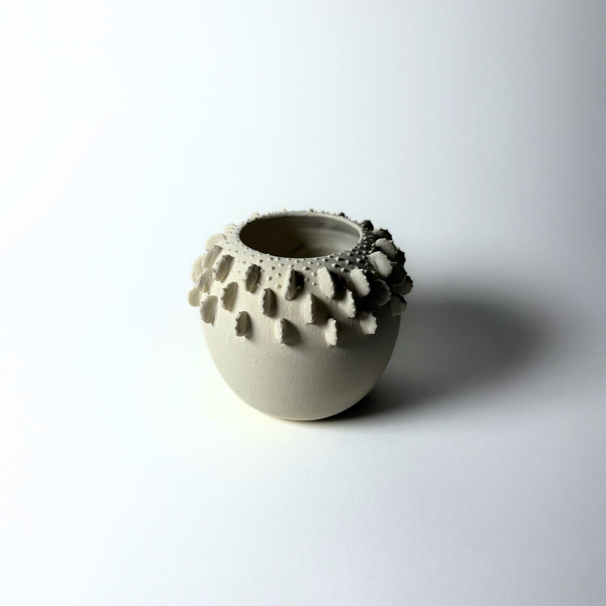 Avigail Remak Succulent Vase with textures inspired by desert cactus