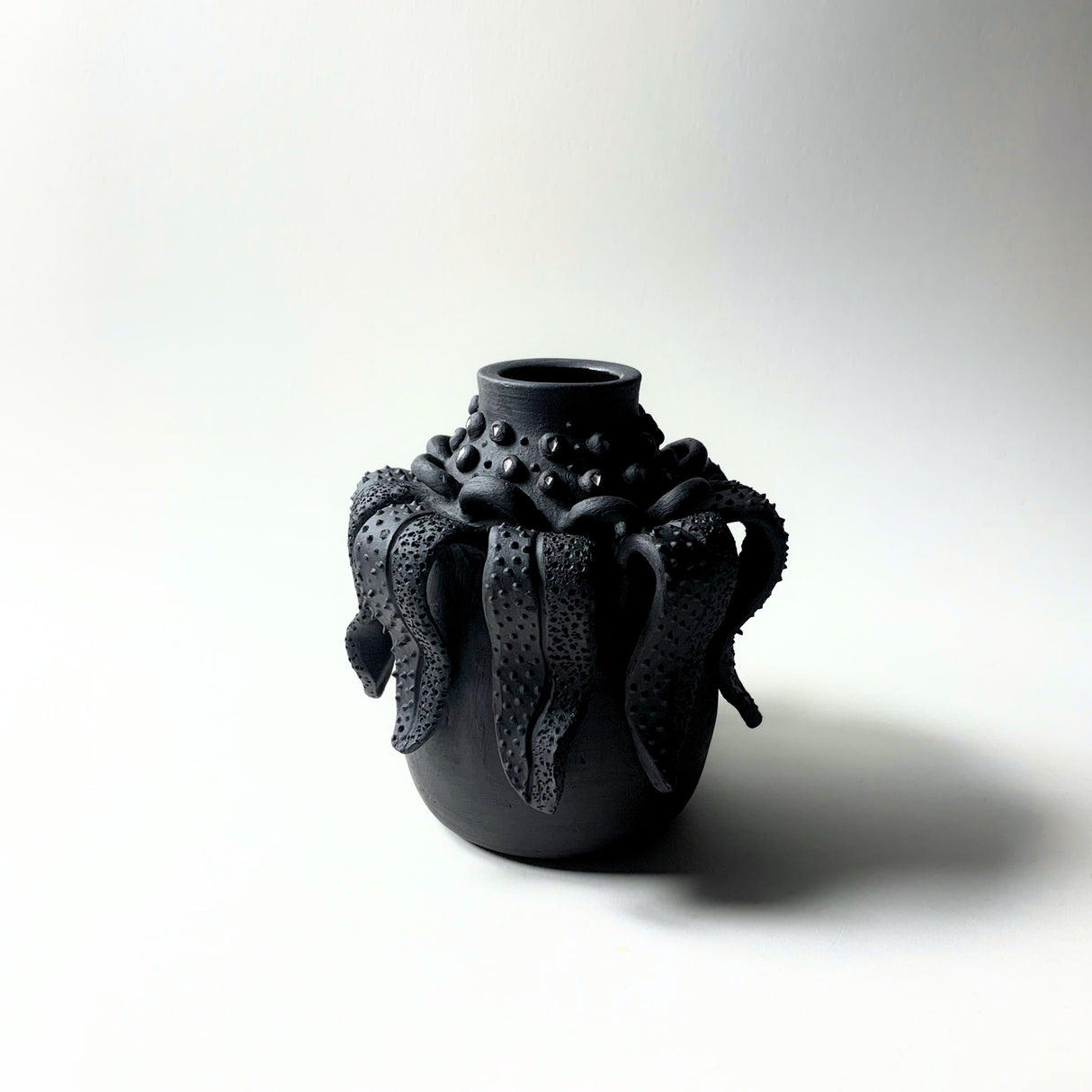 Avigail Remak / Ceramics / Vase / Tongue and Leaf