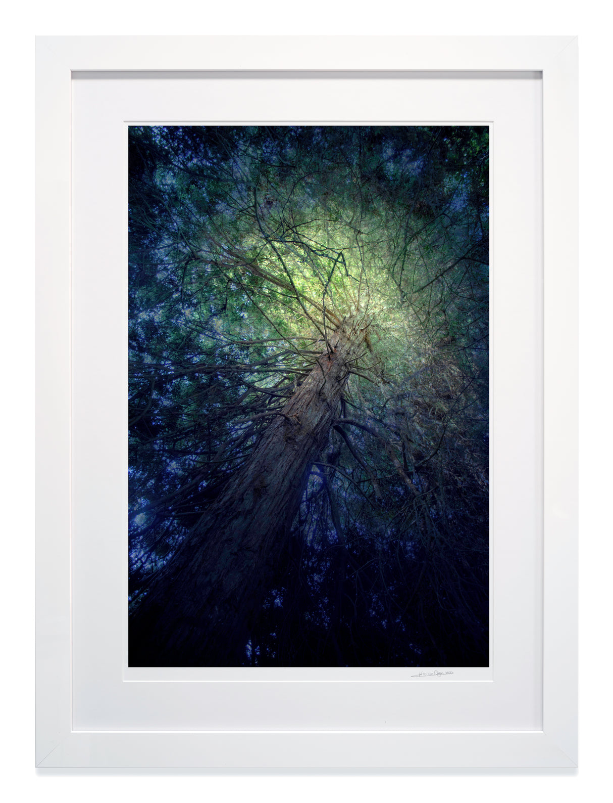 Framed Catching High Light in High Gloss White Wood with Museum Glass