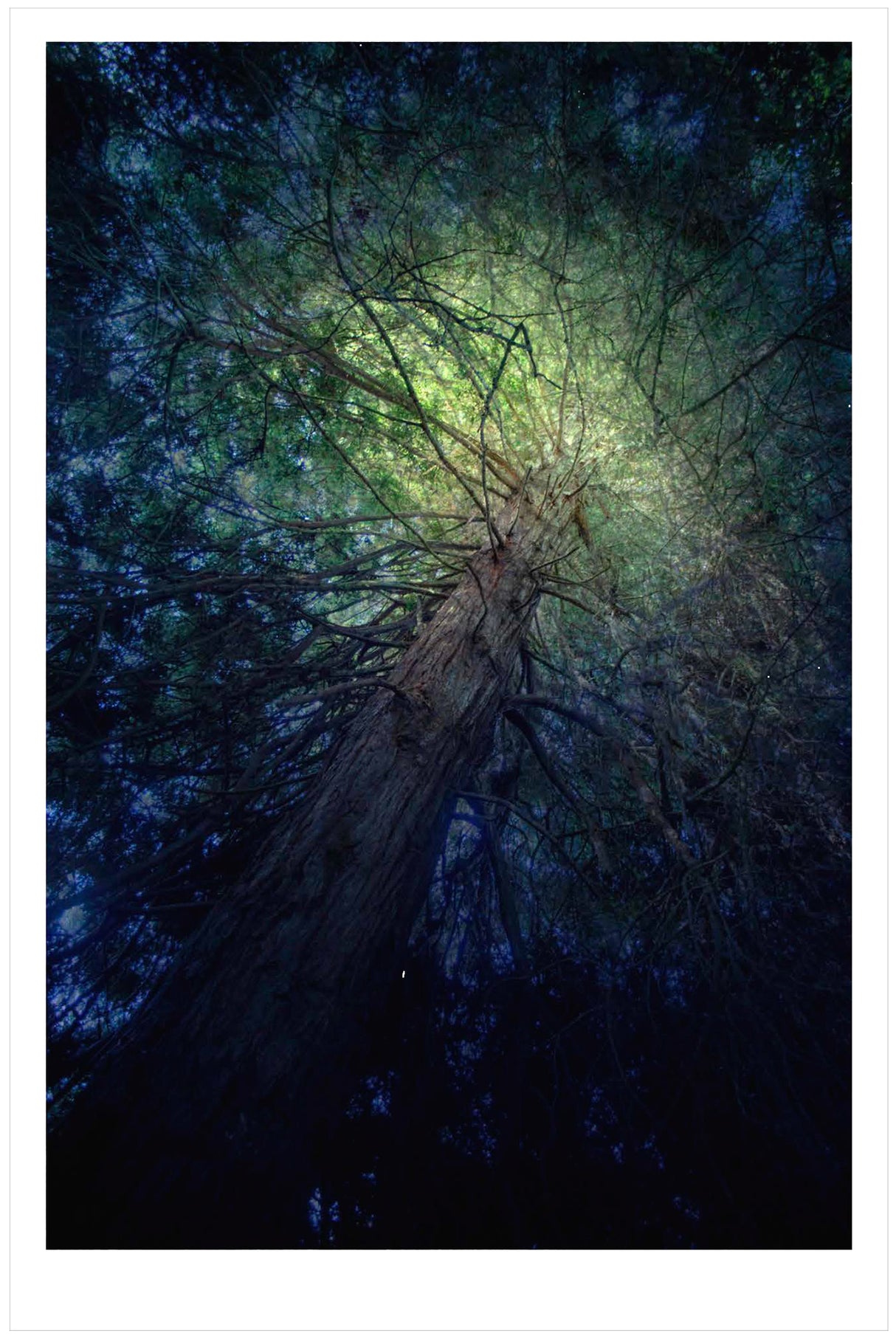 Catching High Light Unframed