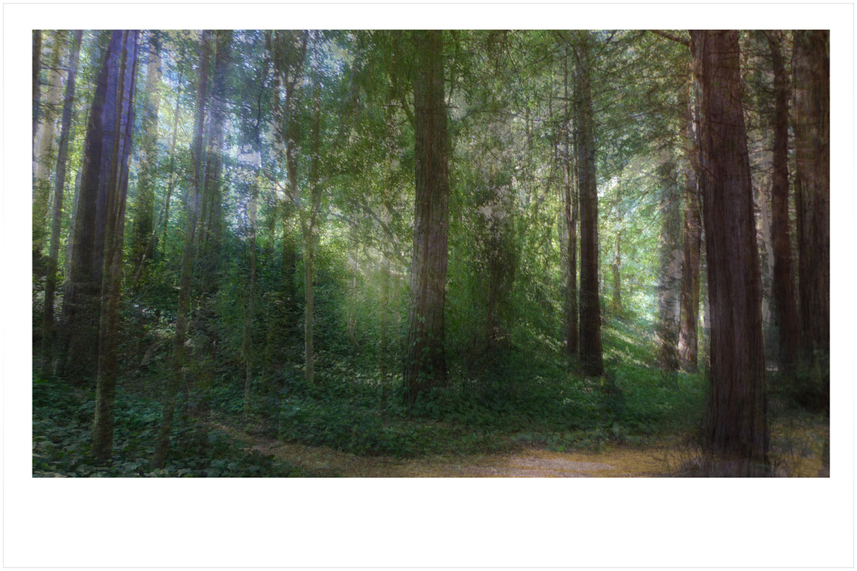 Nico van Dongen Light Waves unframed