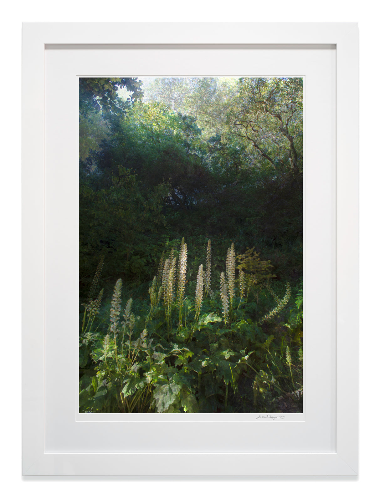 Feather Light framed in high gloss white wood with museum glass