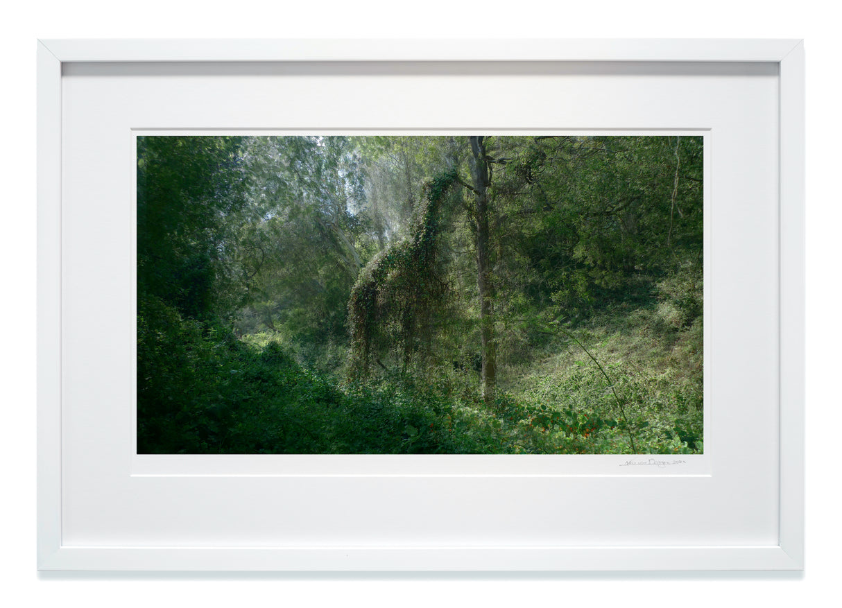 Framed Horse in Forest in high gloss white wood with museum glass