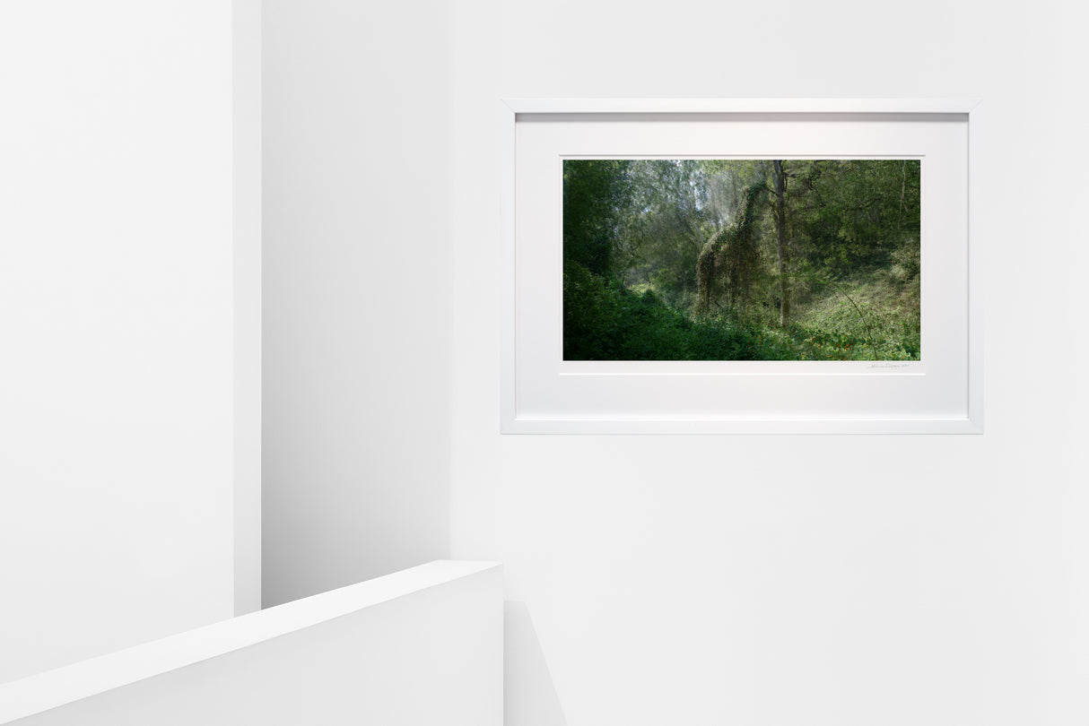 Nico van Dongen Horse in Forest on White Wall