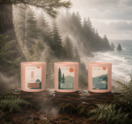 Northern California Candle Collection: Forest Bath Mill Valley, Ethereal Fog Golden Gate, Ocean Wander Pacific Coast