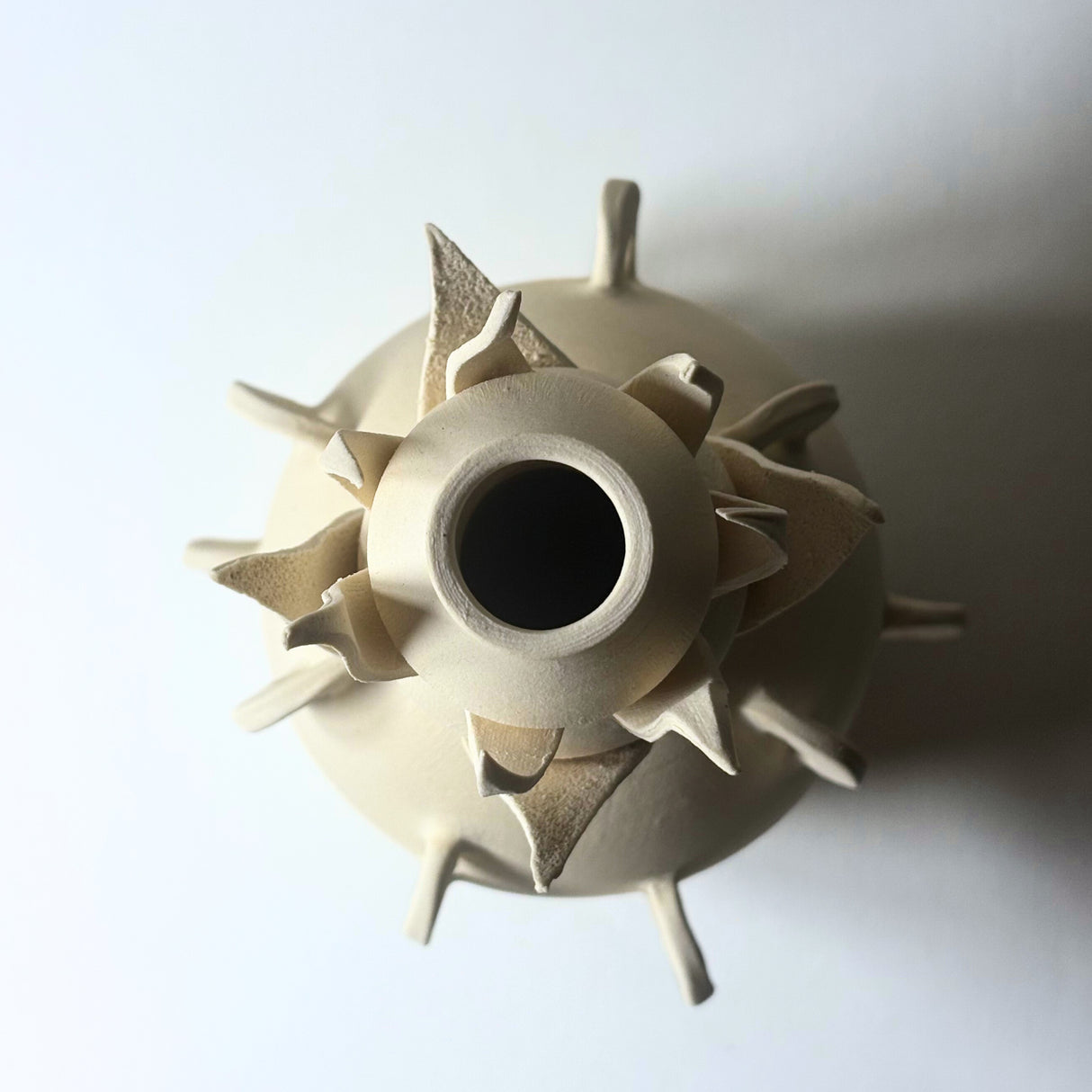 Blossoming Vase. From the Desert Rising collection, inspired by the resilient plants of the desert, their forms, textures, surprising variety, and their tough defenses of spikes and thorns. 