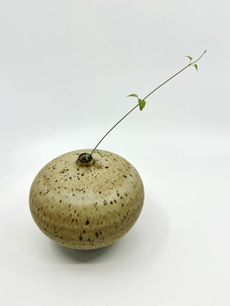 Dana Chieco / Ceramics / Vase / Vessel No 8