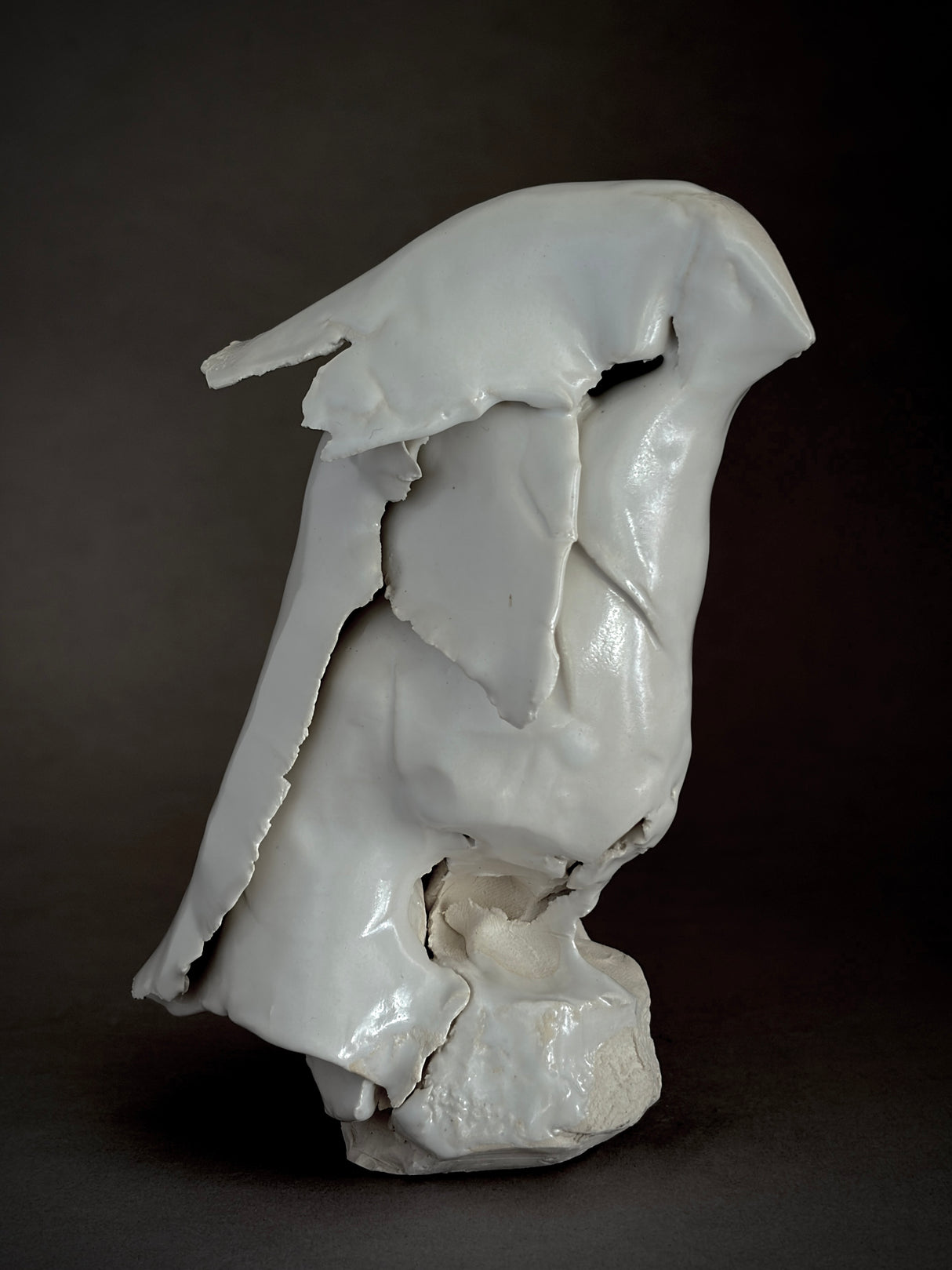 David Duncan Livingston / Ceramics / Sculpture / Free Bird Series 007