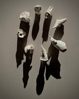 Group of Porcelain Bird Sculptures in a Circle. Commission a group of Free Bird porcelain birds.