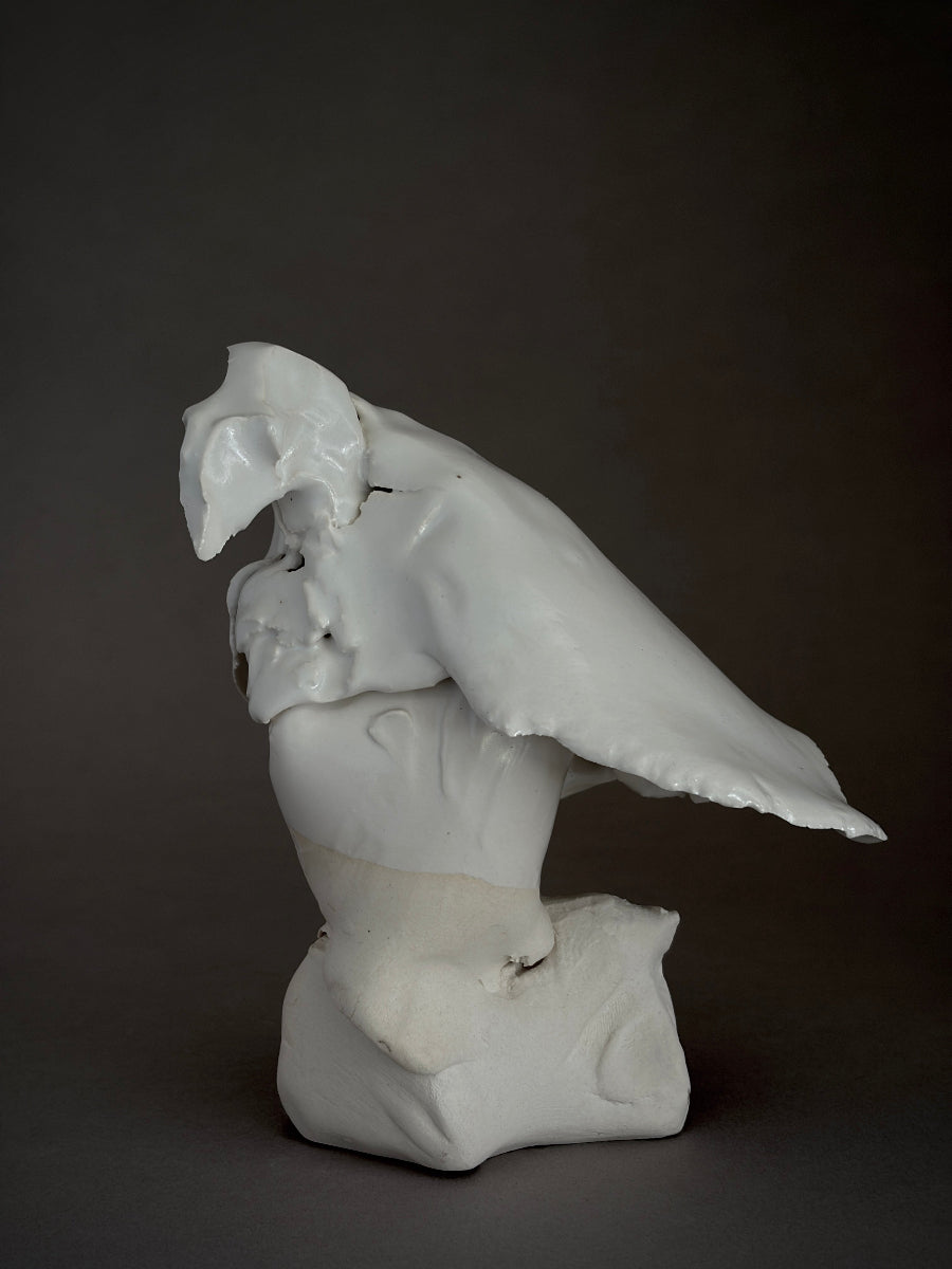 White ceramic porcelain sculpture of a bird by photographer turned ceramicist David Duncan Livingston
