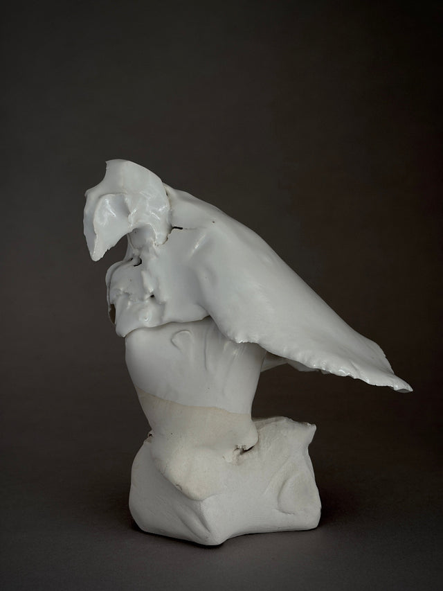 White ceramic porcelain sculpture of a bird by photographer turned ceramicist David Duncan Livingston