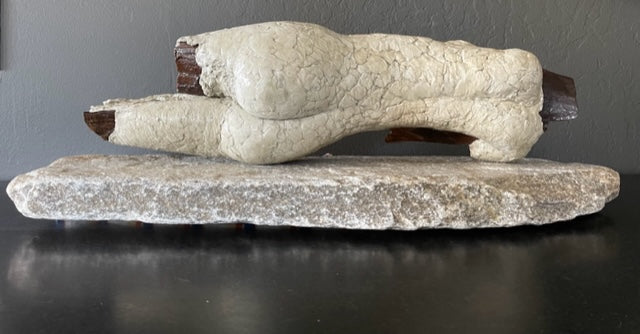 Denise Carletta / Fine Art / Sculpture / Fallen Wood Vol 1
