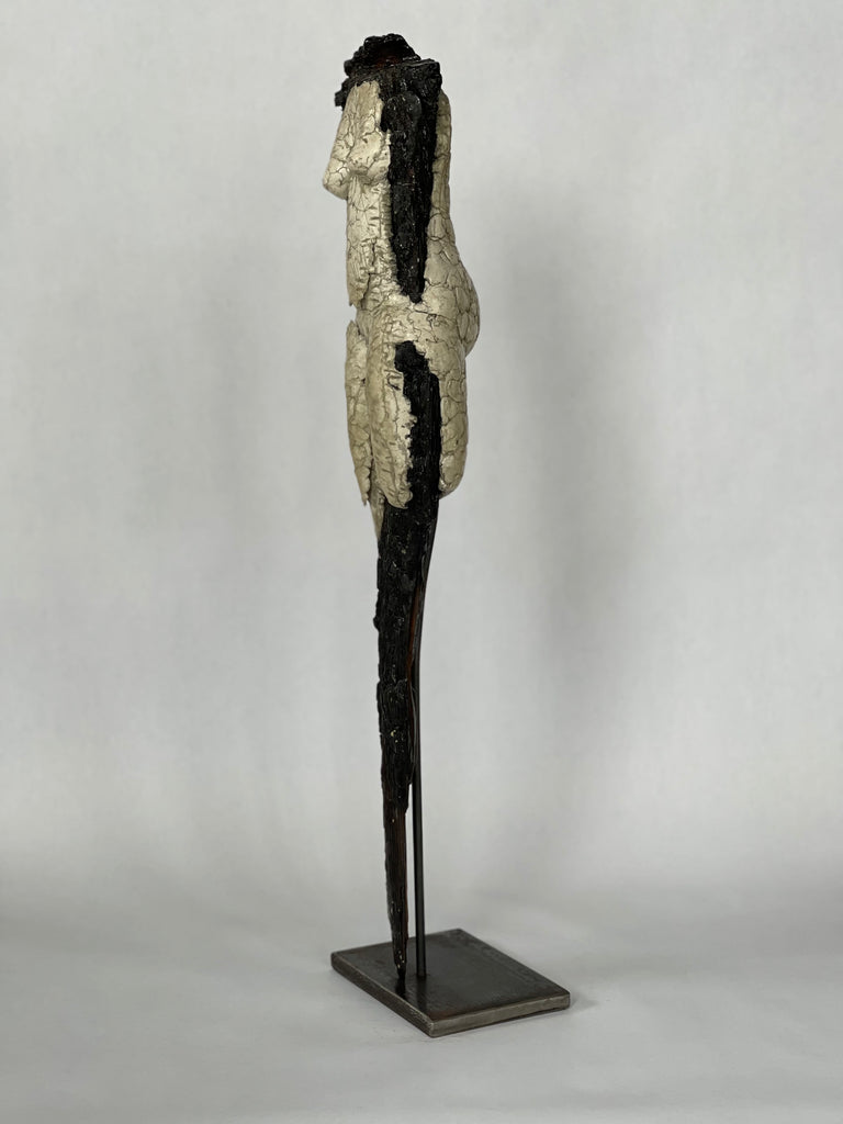 Denise Carletta / Fine Art / Sculpture / Fallen Wood Vol 14