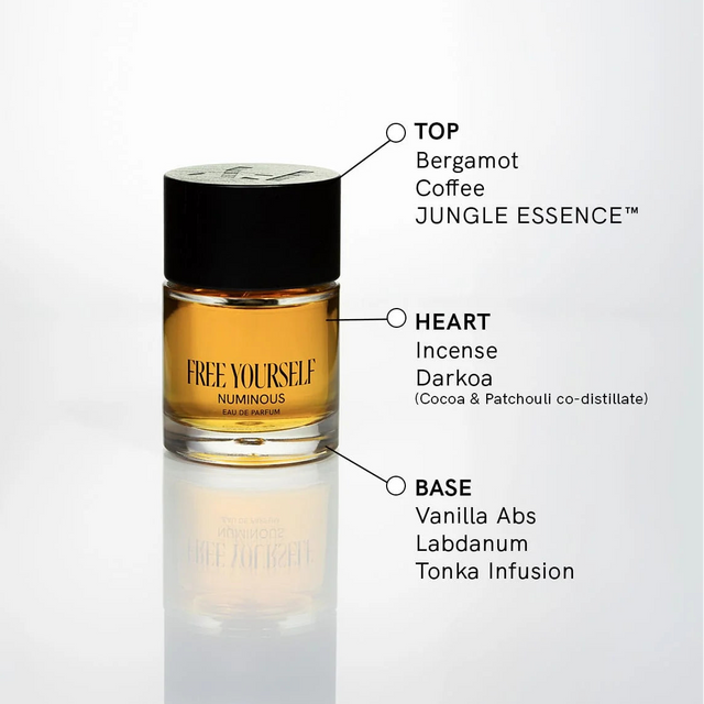 Coffee essence eau de parfum Numinous is the 6th Element