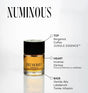 Numinous Perfume Notes. Coffee essence eau de parfum Numinous is the 6th Element