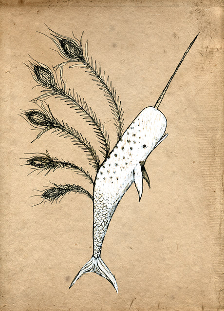 Jon Carling / Paper / Greeting Cards / The Last Narwal
