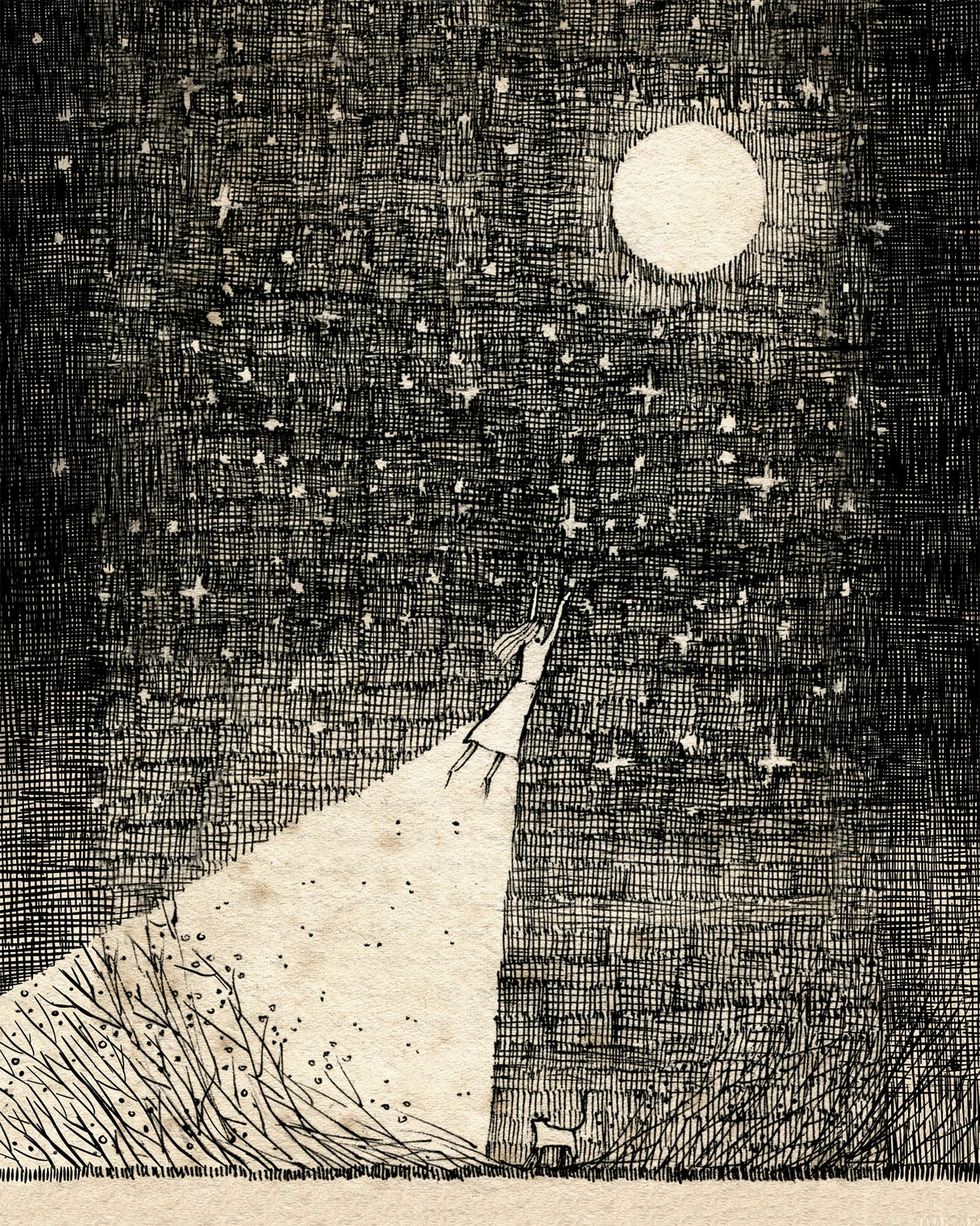 Jon Carling / Paper / Greeting Cards / La Luna