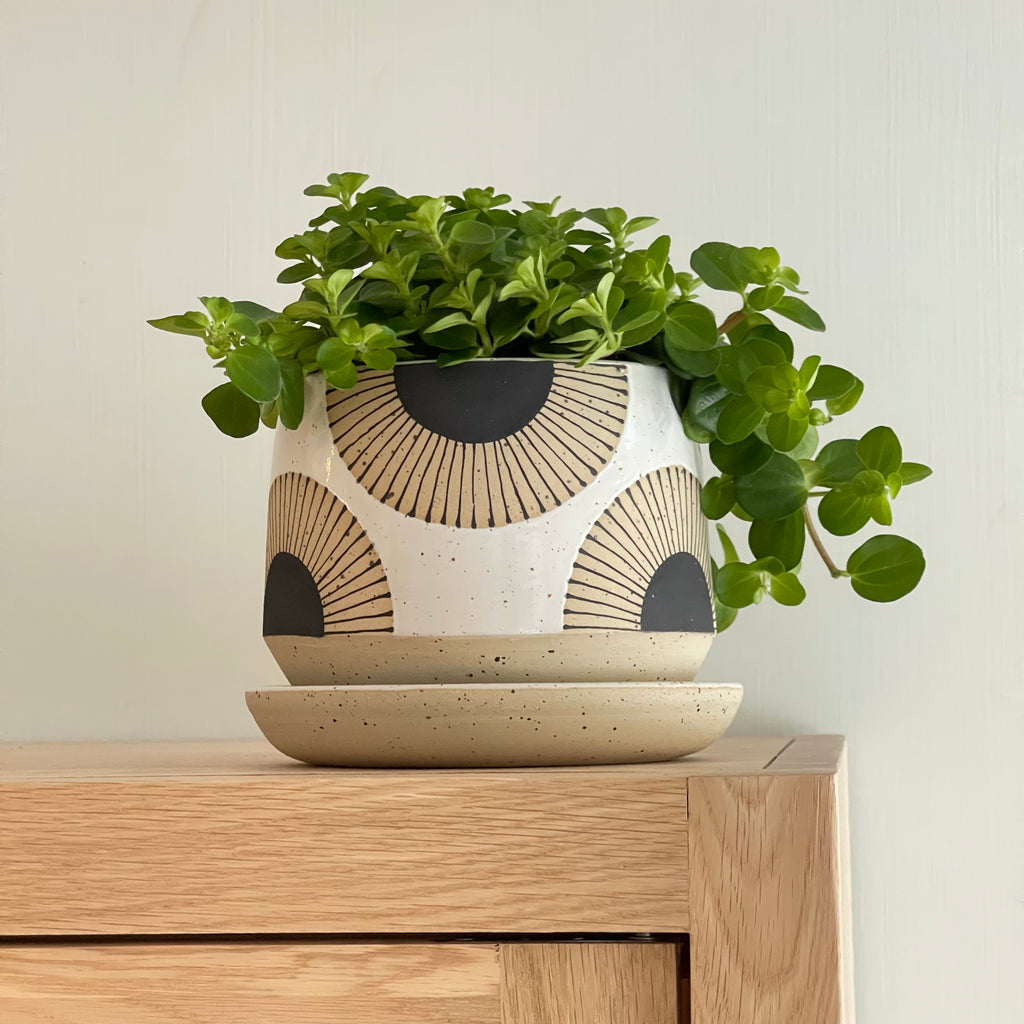 Julems Ceramics wheel thrown 4.5" planters create mix and match delight with their geometric designs and fresh style. She hand decorates each one; this is a repeating ‘Black Sun’ pattern using black underglaze on exposed clay.