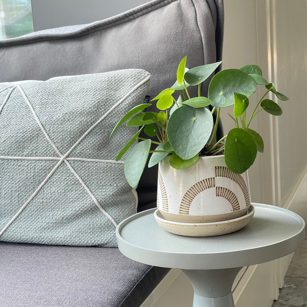 Julems Ceramics wheel thrown 4.5" planters create mix and match delight with their geometric designs and fresh style. She hand decorates each one; this is a repeating ‘Alternating Arch’ pattern using black underglaze on exposed clay.