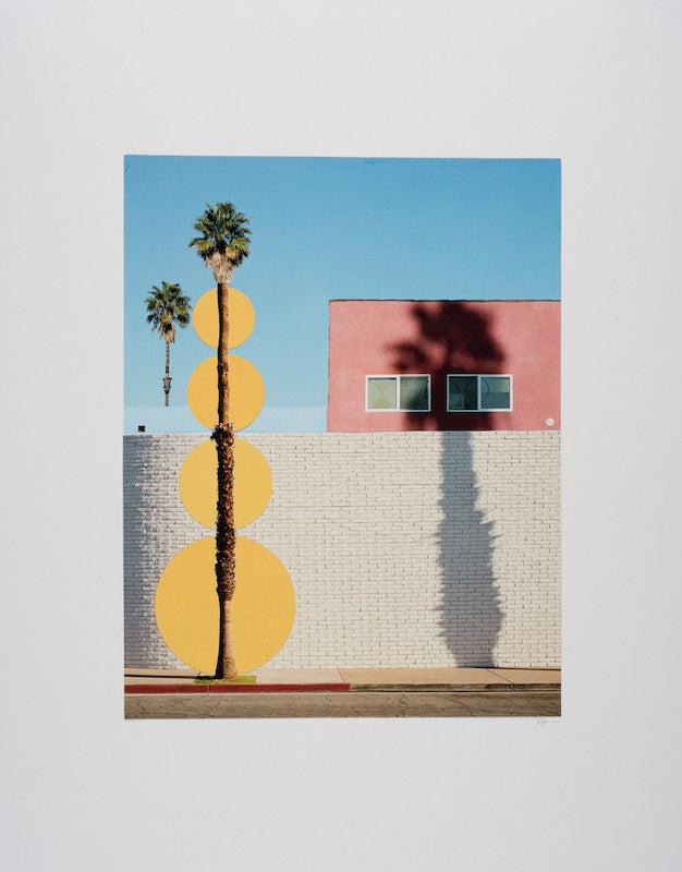 Rosemary Carmen Smith / Art / Collage / Southern California Composition / Palm Shadow