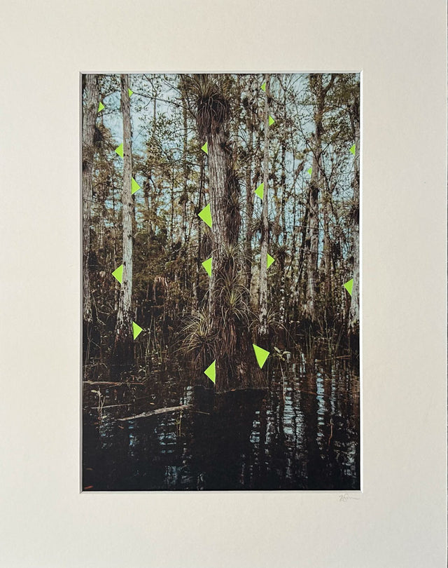 From the series, Landscapes and Circles. Swamp. There is a surprise in how artist Rosemary Carmen Smith balances realism with the unreal.