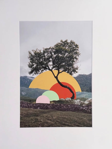 Collage of a tree photograph with colorful cut paper orbs integrated